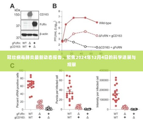 冠壮病毒肺炎最新动态报告,聚焦科学进展与观察(截至2024年12月4日)