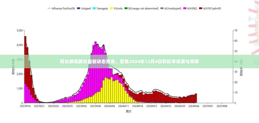 冠壮病毒肺炎最新动态报告,聚焦科学进展与观察(截至2024年12月4日)