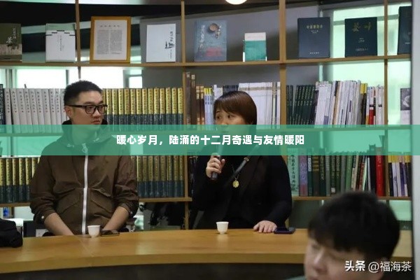 陆涌的暖心岁月,十二月奇遇与友情暖阳
