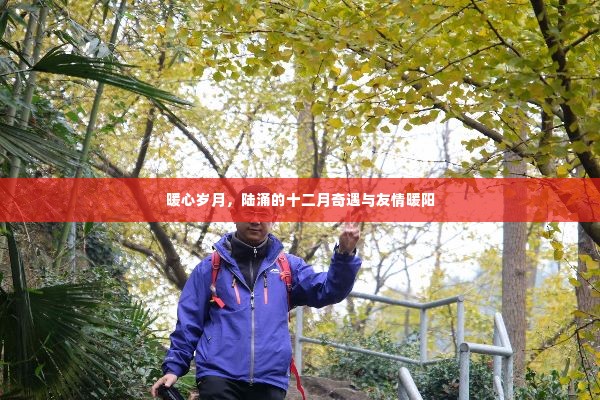 陆涌的暖心岁月,十二月奇遇与友情暖阳