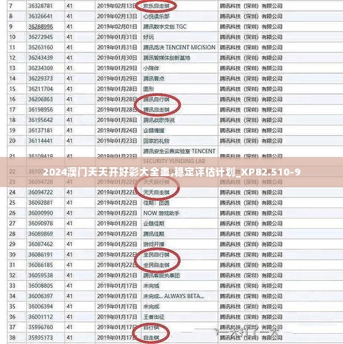 2024澳门天天开好彩大全蛊,稳定评估计划_XP82.510-9