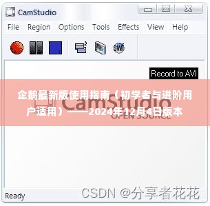 企鹅最新版使用指南(初学者与进阶用户适用)——全面解析2024年版本特色功能及操作技巧