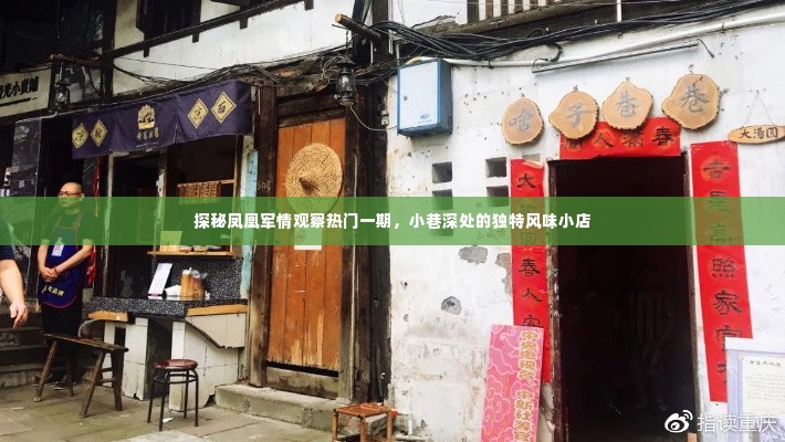 凤凰军情观察揭秘,小巷深处的独特风味小店探秘之旅