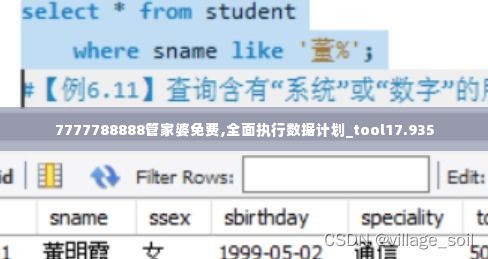 7777788888管家婆免费,全面执行数据计划_tool17.935