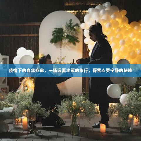 疫情下的自然探索之旅,心灵宁静秘境的追寻