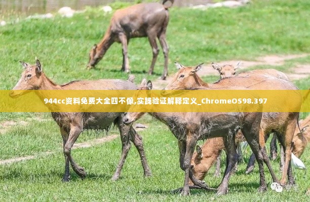 反朴归真 第5页