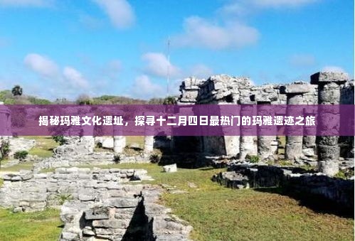 秀外慧中 第4页