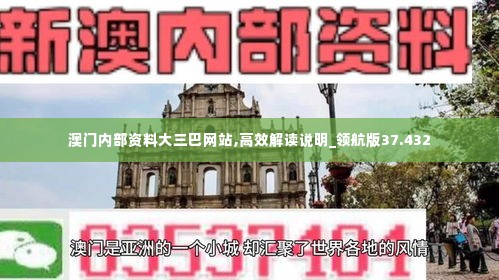 澳门内部资料大三巴网站,高效解读说明_领航版37.432