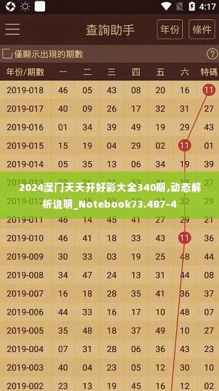 2024澳门天天开好彩大全340期,动态解析说明_Notebook73.487-4