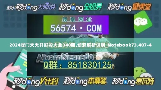 2024澳门天天开好彩大全340期,动态解析说明_Notebook73.487-4
