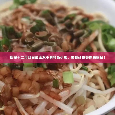 探秘十二月四日无双小巷的独特小店,揭秘特色环境与美食魅力!