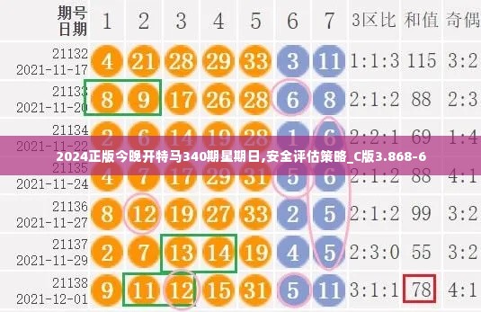 2024正版今晚开特马340期星期日,安全评估策略_C版3.868-6