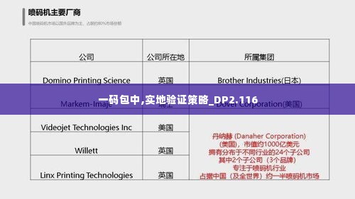 一码包中,实地验证策略_DP2.116