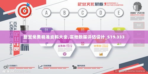 新奥免费精准资料大全,实地数据评估设计_S19.333