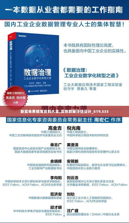 新奥免费精准资料大全,实地数据评估设计_S19.333