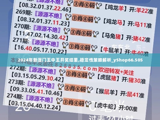 2024年新澳门王中王开奖结果,稳定性策略解析_yShop66.505