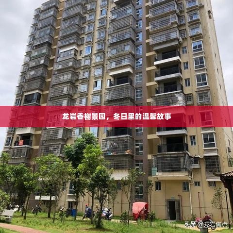 龙岩香榭景园,冬日温馨故事