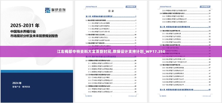 江左梅郎中特资料大全更新时间,数据设计支持计划_WP17.250