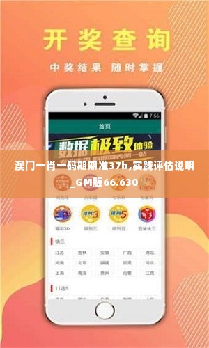 澳门一肖一码期期准37b,实践评估说明_GM版66.630