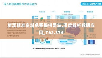 新澳精准资料免费提供网站,深度解析数据应用_T62.374