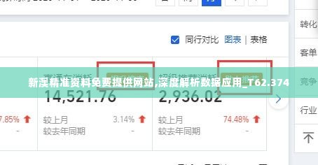 新澳精准资料免费提供网站,深度解析数据应用_T62.374