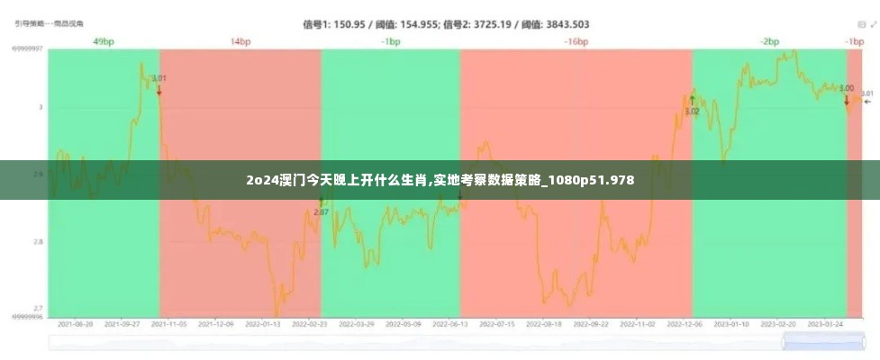 2o24澳门今天晚上开什么生肖,实地考察数据策略_1080p51.978