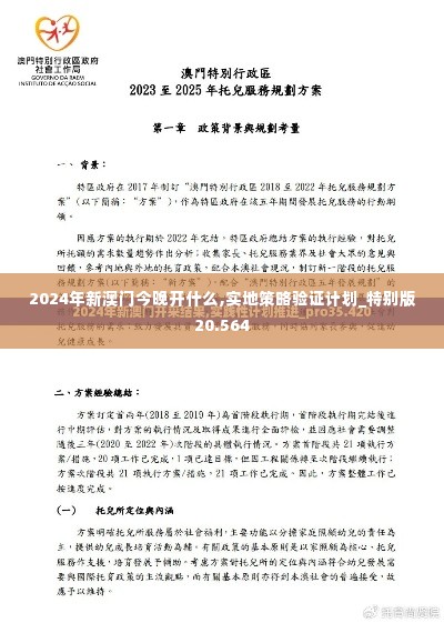 2024年新澳门今晚开什么,实地策略验证计划_特别版20.564