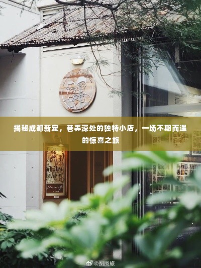 成都巷弄深处的独特小店揭秘,一场不期而遇的惊喜之旅
