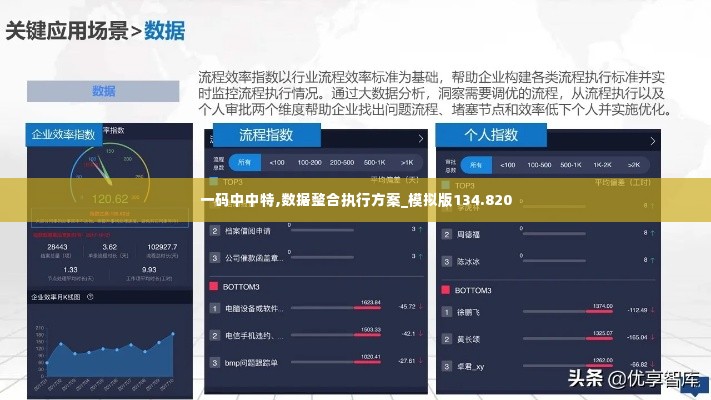 一码中中特,数据整合执行方案_模拟版134.820