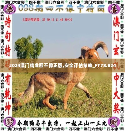 2024澳门精准四不像正版,安全评估策略_FT78.824