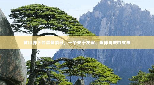 黄山脚下温情疫日,友谊、陪伴与爱的故事