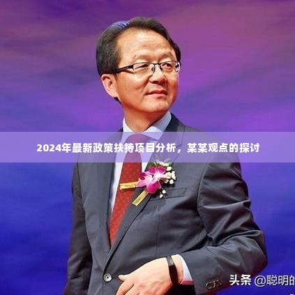 关于扶持项目分析,探讨未来政策走向与某某观点下的机遇与挑战