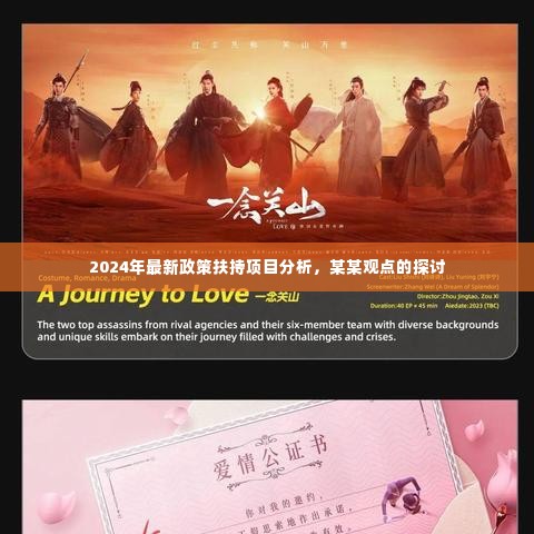 关于扶持项目分析,探讨未来政策走向与某某观点下的机遇与挑战