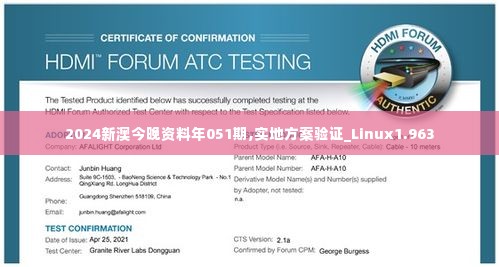 2024新澳今晚资料年051期,实地方案验证_Linux1.963