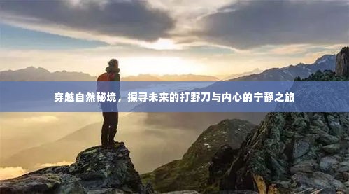 穿越秘境,探寻打野刀与内心宁静之旅