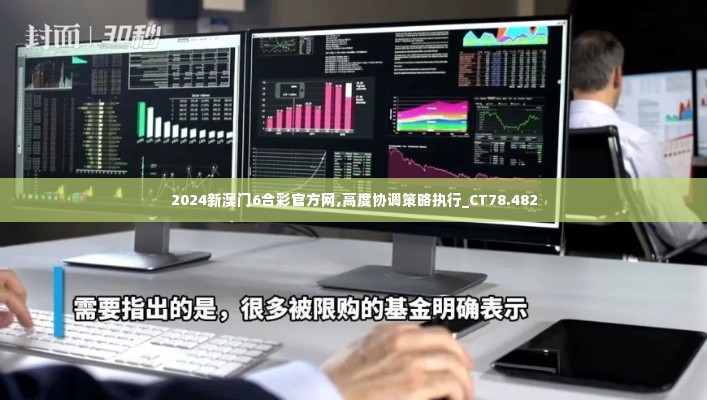 2024新澳门6合彩官方网,高度协调策略执行_CT78.482