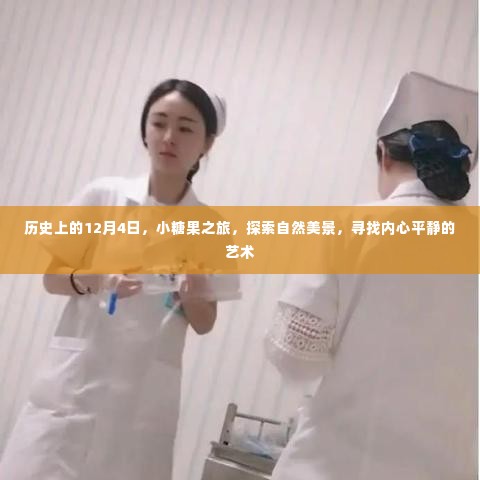 历史上的小糖果之旅,探索自然美景,寻找内心平静的艺术日——12月4日探索之旅