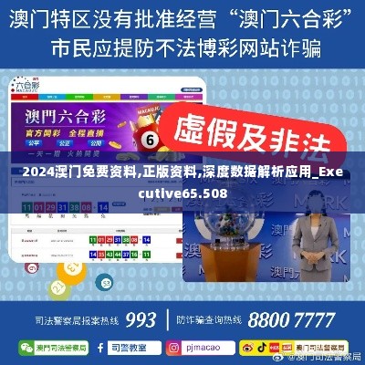 2024澳门免费资料,正版资料,深度数据解析应用_Executive65.508