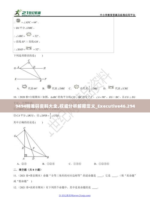 9494特准码资料大全,权威分析解释定义_Executive46.294