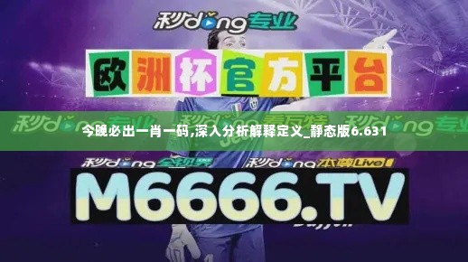 今晚必出一肖一码,深入分析解释定义_静态版6.631