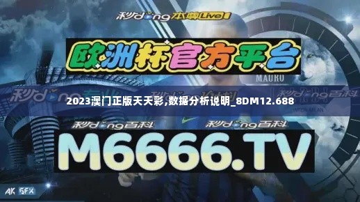 2023澳门正版天天彩,数据分析说明_8DM12.688