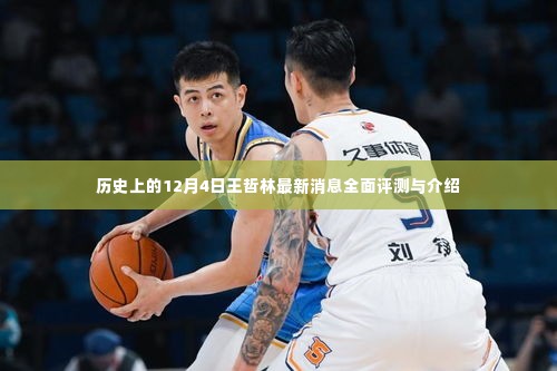 王哲林最新消息及全面评测介绍,历史上的这一天回顾与前瞻