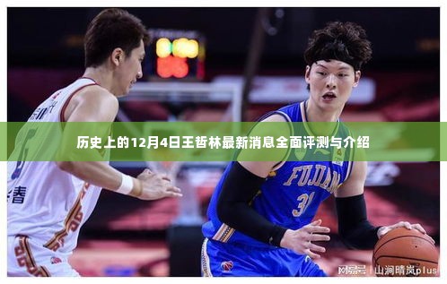 王哲林最新消息及全面评测介绍,历史上的这一天回顾与前瞻