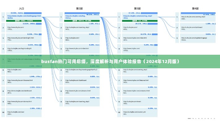 Busfan热门后缀深度解析与用户体验报告(2024年最新版)