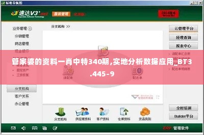 管家婆的资料一肖中特340期,实地分析数据应用_BT3.445-9