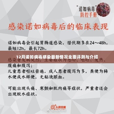 12月诺如病毒感染全面评测与最新情况介绍