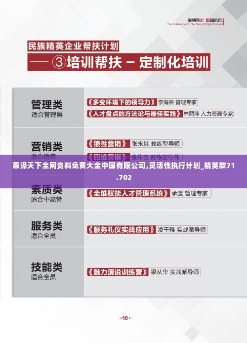 惠泽天下全网资料免费大全中国有限公司,灵活性执行计划_精英款71.702