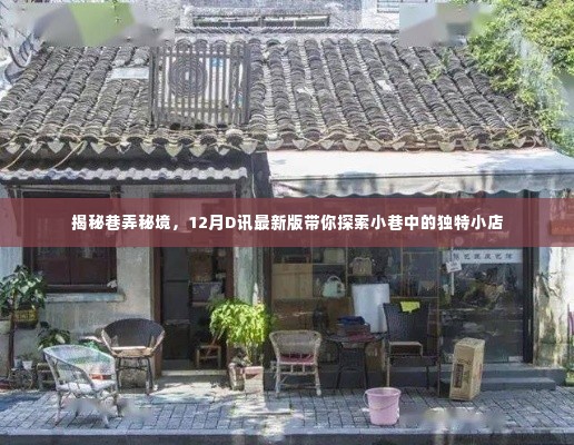 揭秘巷弄秘境,小巷独特小店探索指南(D讯最新版)