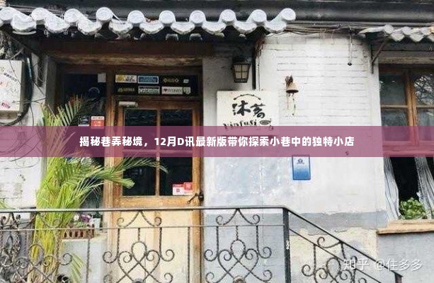 揭秘巷弄秘境,小巷独特小店探索指南(D讯最新版)