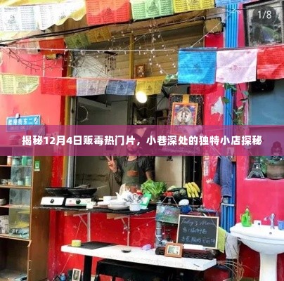 揭秘,小巷深处的独特小店暗藏贩毒热点,探秘12月4日毒品交易内幕